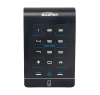 i304T�T���C(j��)