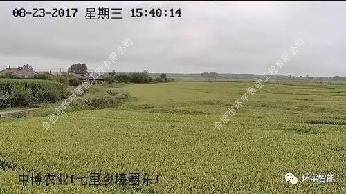 1733278508105440.png 圖片 11.png